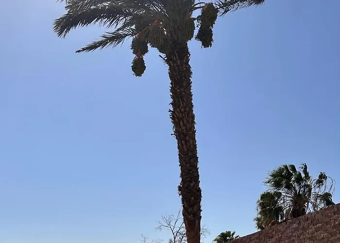 Luxury Pool & Free Private Beach, Close To Airport Üdülőközpont Gurdaka